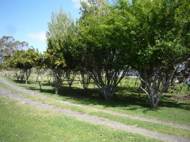 Blue House Villa Awanui Exterior foto